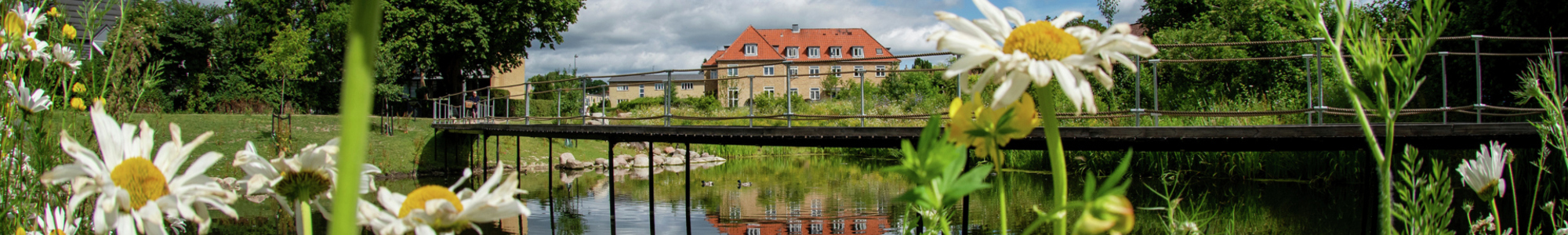 Mosegardskvarteret. Green Outdoor Area. NS 08897 1920